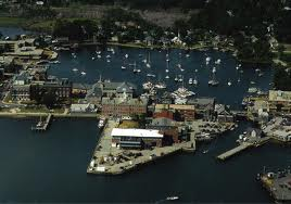 untitled resized 600