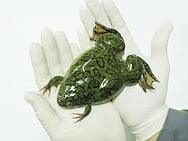 untitled resized 600