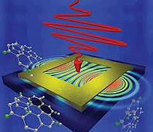 imagesCA5UR0QJ resized 600