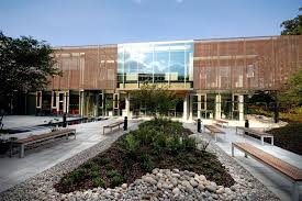 untitled resized 600