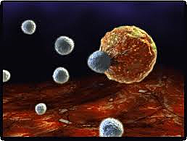 imagesCA9T2EWJ resized 600