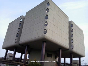 Stony Brook University