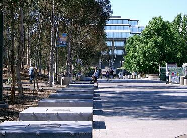 University of California San Diego