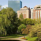 untitled resized 600