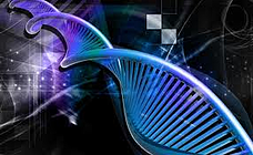 imagesCAEC4WVO resized 600