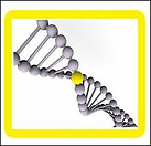 imagesCAYA8G5X resized 600