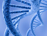 Enal NGS2014 websmall9222119220