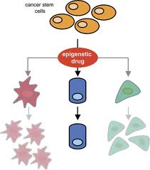 imagesCAE0O4FL resized 600