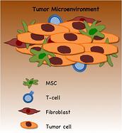 Tumor microenvironment cells