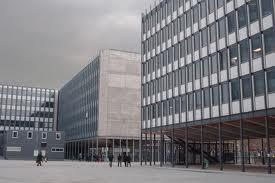 imagesCA14XEEQ resized 600