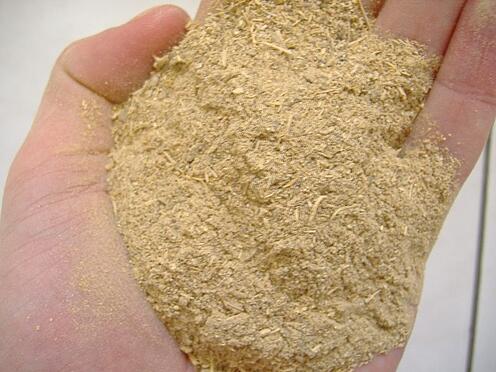 ground kava root, Image courtesy of Wikimedia Common and Ib0ga ground kava root, Image courtesy of Wikimedia Common and Ib0ga