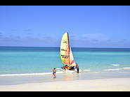 4956c175a0d144a39ea58716006f46be