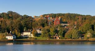 untitled resized 600