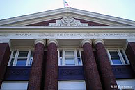 untitled resized 600