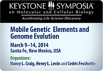 2014 01 Mobile DNA widget keystone