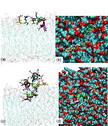 untitled resized 600