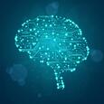 FEATURE BRAIN CIRCUITS ISTOCK HiRes 1024x1024