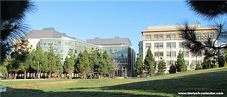 IMG 0431 new thumb.jpg resized 600