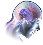 imagesCATN2G2C resized 600