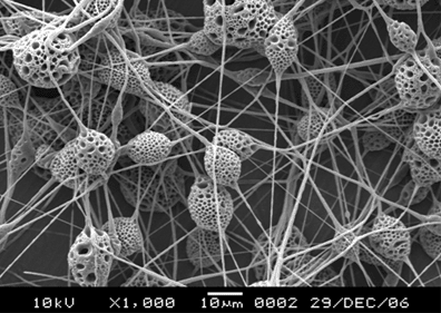nanoporous biomedical materials