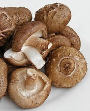 Researchers in Houston used the extract Active Hexose Correlated Compound found in shiitake mushrooms to see if it affected HPV in a positive way. 