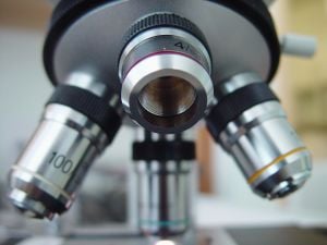optical microscope biotechnology