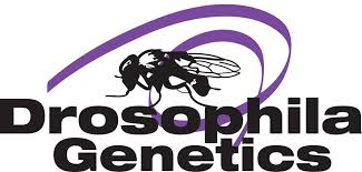 55th Annual Drosophila Research Conference