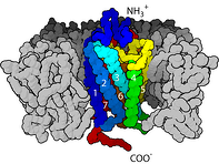 7TM4 (GPCR)