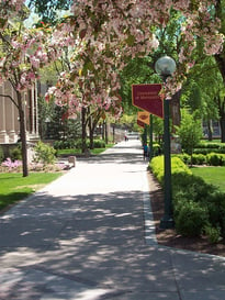 The University of Minnesota, Twin Cities