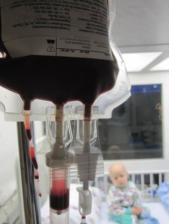 biomedical research at UA is increasing bone marrow transplant survival