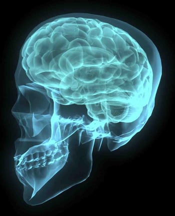 brain2_neuroscience_research