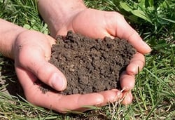 agriculture soil biotech