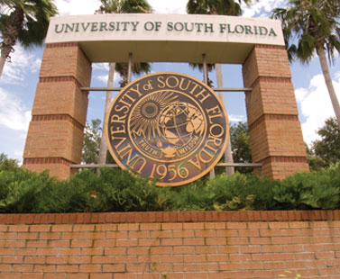 University of South Florida in Tampa